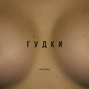 Гудки