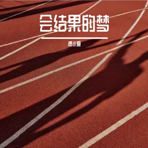 会结果的梦demo版(奥运会加油曲目)