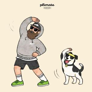 Steady Shine All Day