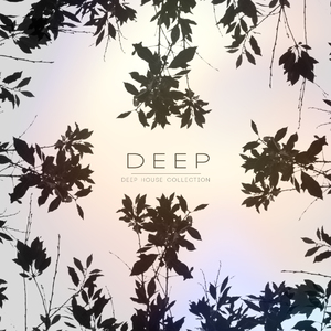 Do It (Touchtalk Remix)