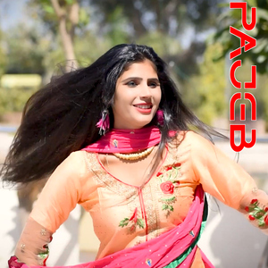 Pajeb