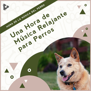Música pacífica con olas del mar