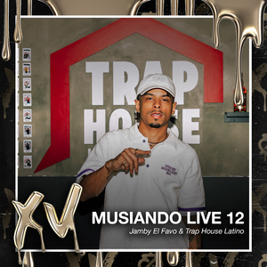 Los Exóticos (Musiando Live 12)