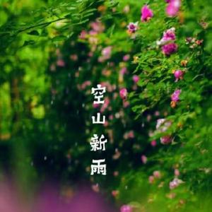 空山新雨