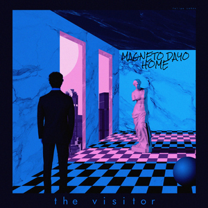 The Visitor