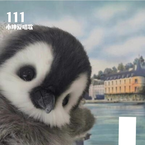 《浪尖上的夏日诗篇》自得其乐的可乐鸡翅-开心-.mp3