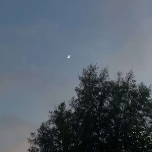 新不了情