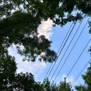 你能感受到我的心吗