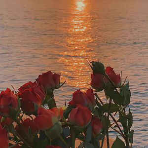 mmexport1662082879472_094141_track1_094141