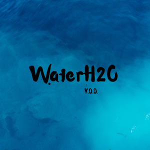H2O