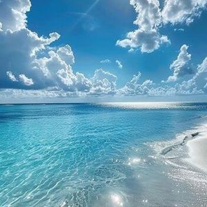 Camel by Camel (sped up)