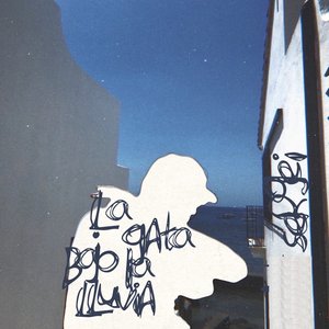 La Gata Bajo la Lluvia