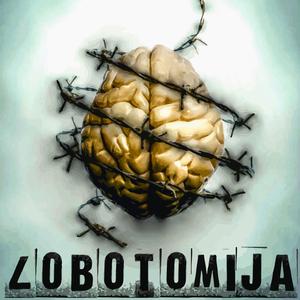 Vizita (feat. Sokoli Maestro & Master Sardu)