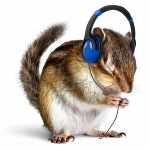 We Fall In This Vibe