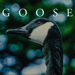 Goose