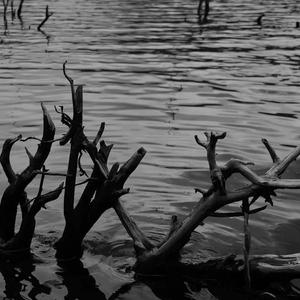 特别的人（翻唱）