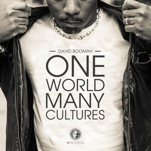 One World Many Cultures (Continuous DJ Mix - Mixed By Soulsource & DJ Roy)