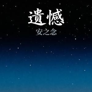 遗憾