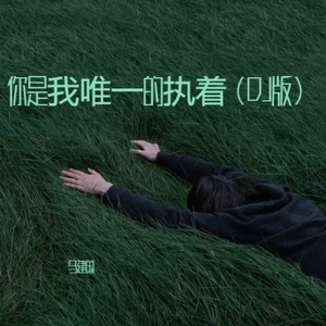 你是我唯一的执着（DJ版）