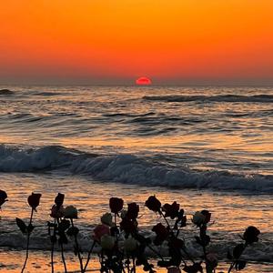 tempAudioConvert_320k_48000_29-7月-22_16-54-50-253