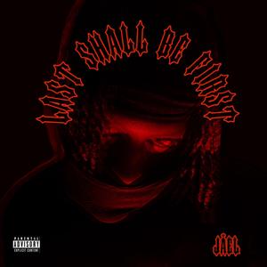 PLAYOFF (feat. 2amillion) (REMIX)