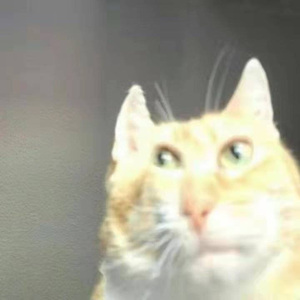 눈, 코, 입 (眼,鼻,嘴) Cover:TAEYANG