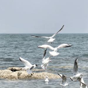 妙瓦底迷幻之夜 第9篇