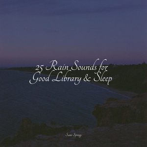 Camping Kettle on the Fire