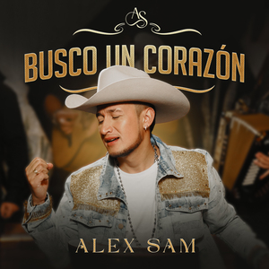 Busco Un Corazón
