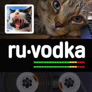 Анархист. Гимн Анархиста. Я сам решу. Песня про анархиста. Забота. Опека. Надоели. Я уеду. Как стадо на убой. Нет свободы. Это не свобода.