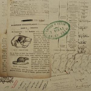 LUNES (feat. El Marto)