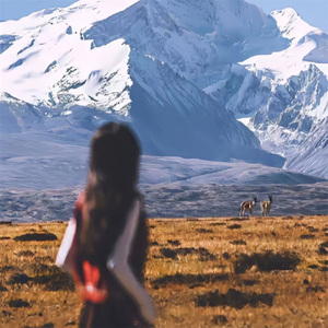 本该是个有钱人