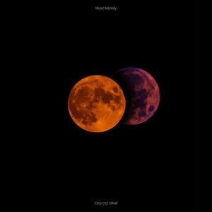 Precious Little Fortitude