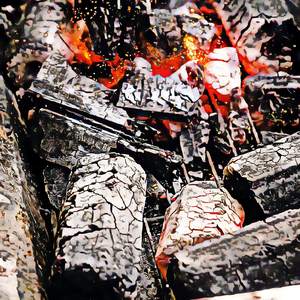 Photography 101 Underwater