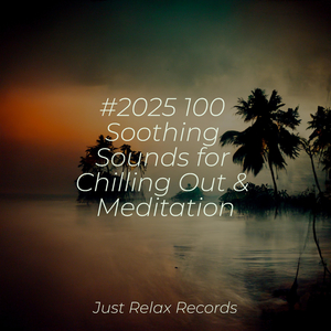 Melodic Insights Reflection and Growth