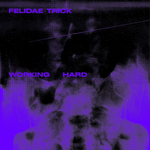 The Felidae Trick