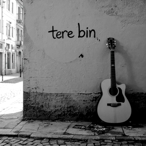 Tere Bin (Acoustic)