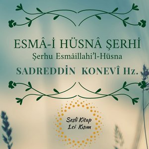 Beşerî Nefes'in Mertebeleri