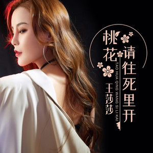 桃花请往死里开 (DJ何鹏版)