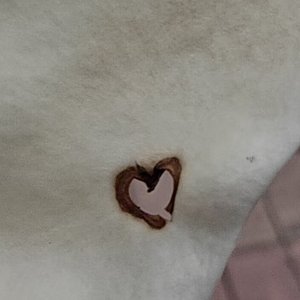 保持安全距离的默契