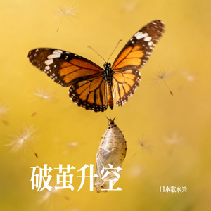 破茧升空