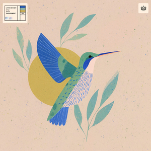 Hummingbird