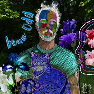 You are old (birthday)