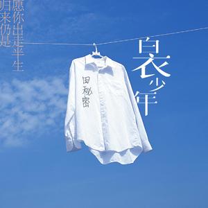 白衣少年（新编）