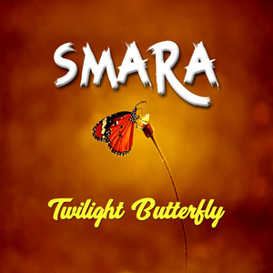 Twilight Butterfly
