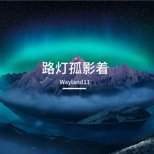 路灯孤影着