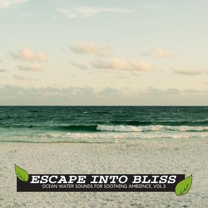 Night with Ocean Waves