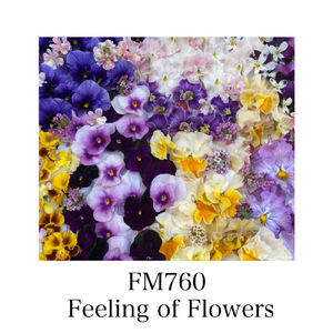 僕の素敵な思い出