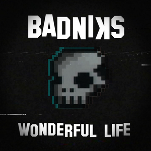 Wonderful Life