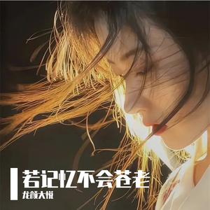 句句不提累 句句皆是累